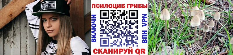 Галлюциногенные грибы мицелий  Армянск 
