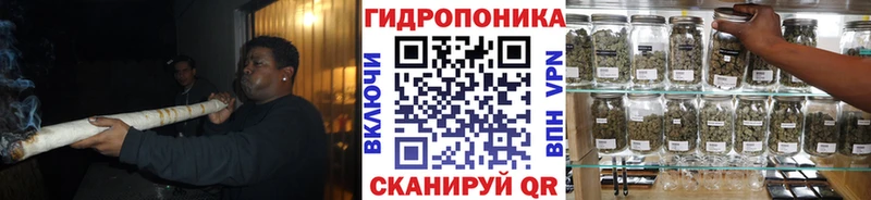 Шишки марихуана сатива  купить закладку  Армянск 